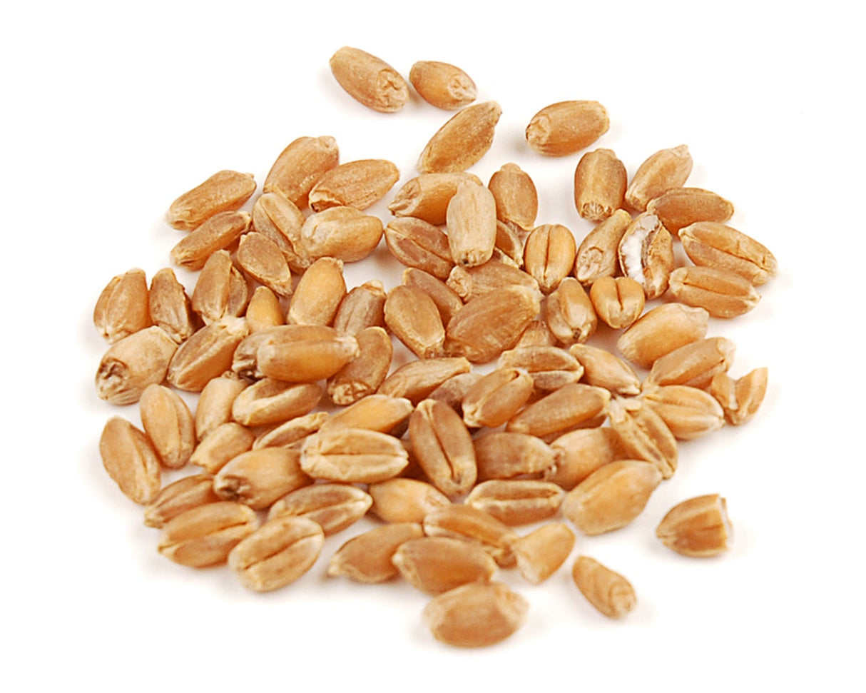 Wheat Berries, Organic, Hard Red 1 - 25 POUND 347743