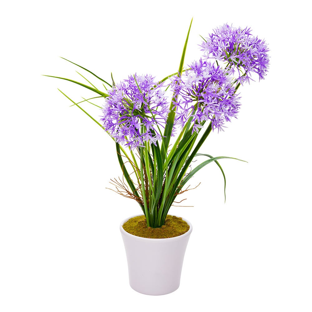 Allium, Violet, Faux, in Plastic White Pot 1 - 12 COUNT 288032