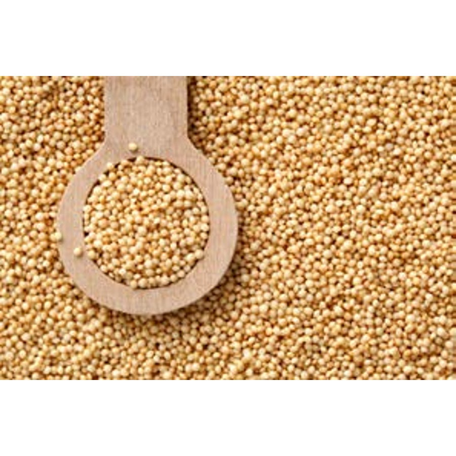 Amaranth, Organic 2 - 5 POUND 800849