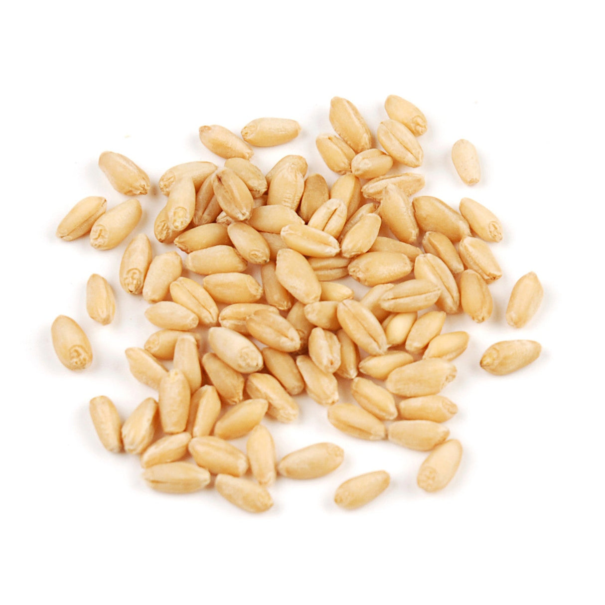 Wheat Berries, White, Soft 1 - 10 POUND