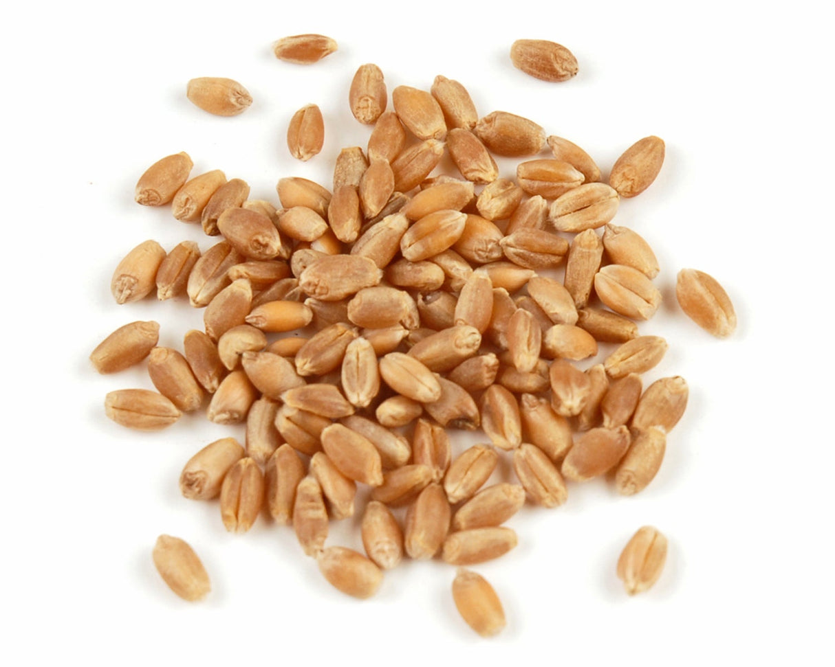 Wheat Berries 1 - 25 POUND 890227