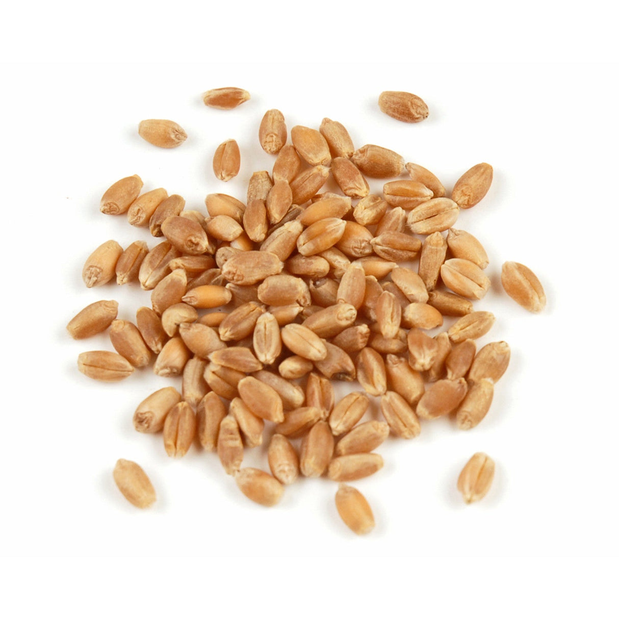 Wheat Berries, Red, Hard 1 - 10 POUND