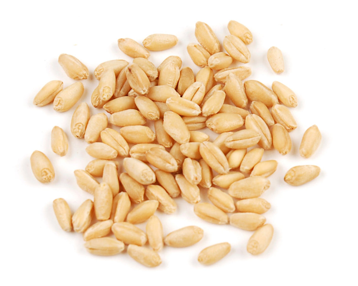 Wheat Berries 1 - 25 POUND 890234