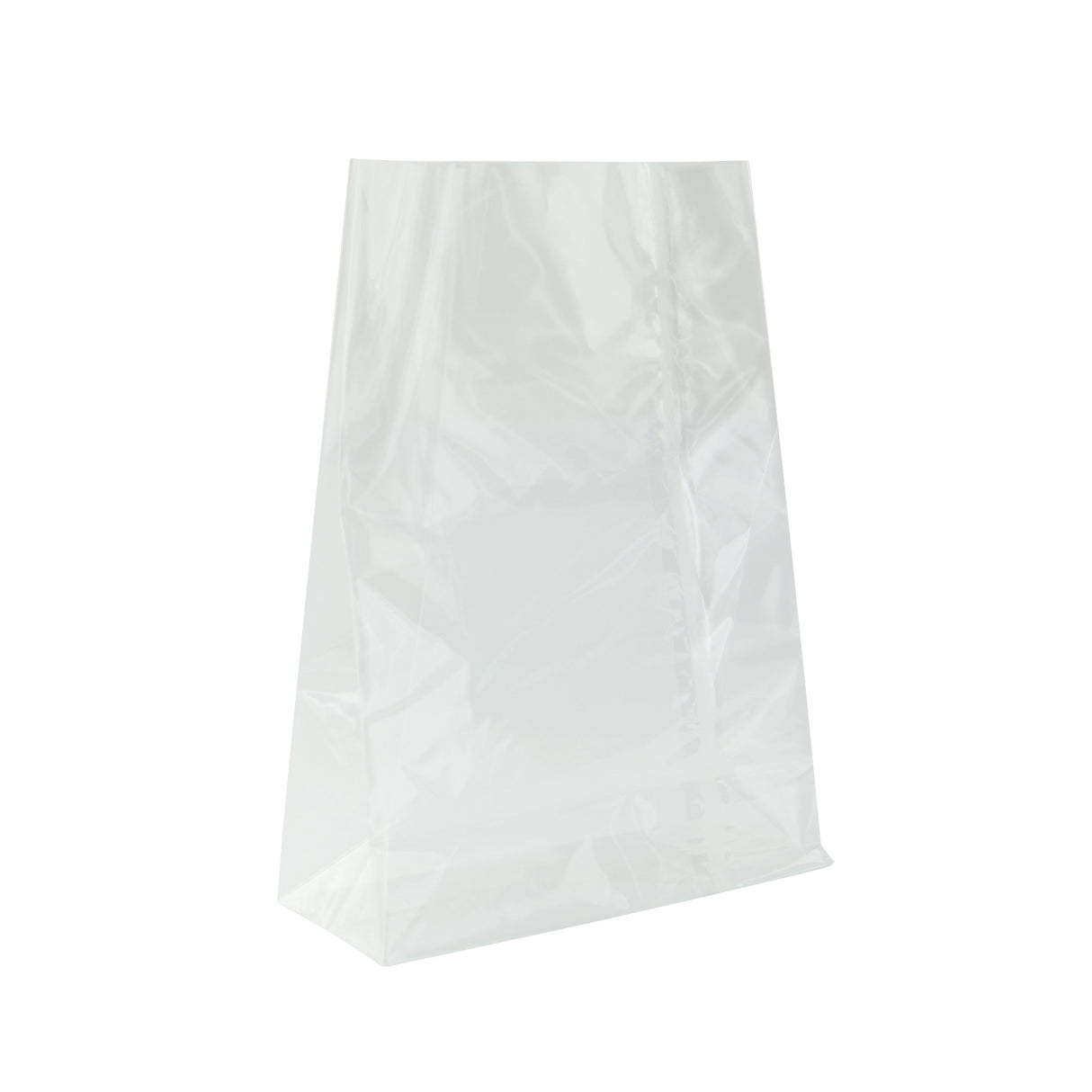 Bags, 8.07 x 2.6 x 5.5 Inch, Clear 1 - 1000 COUNT 311741