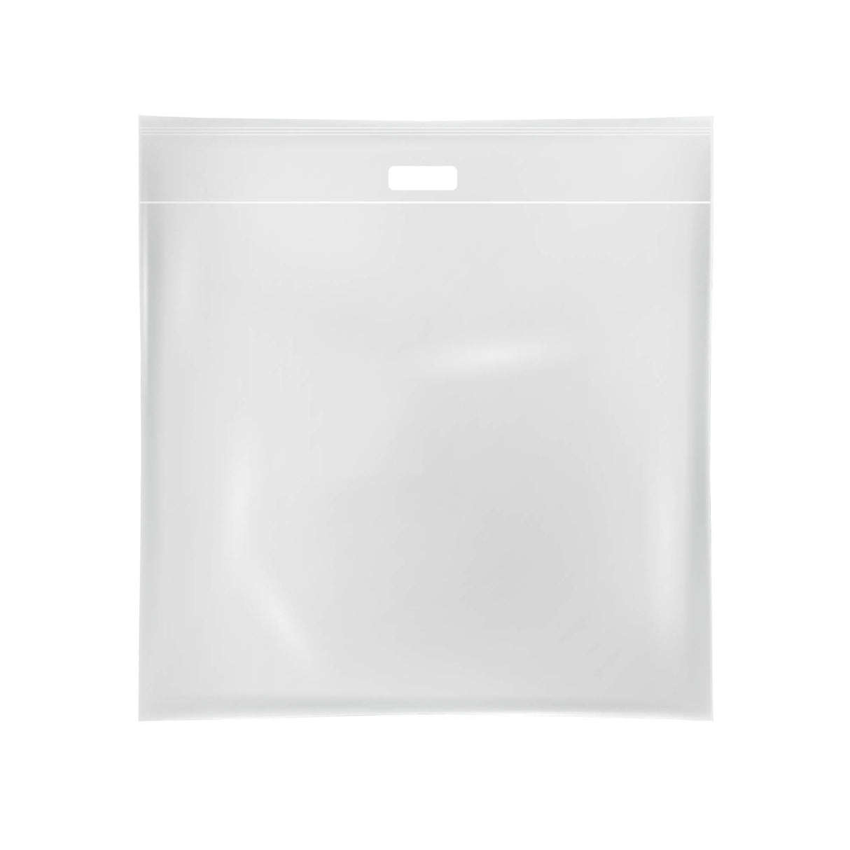 Bags, Brining, 24 x 24 Inch, Plastic, Clear, Reusable 6 - 1 EACH 458695