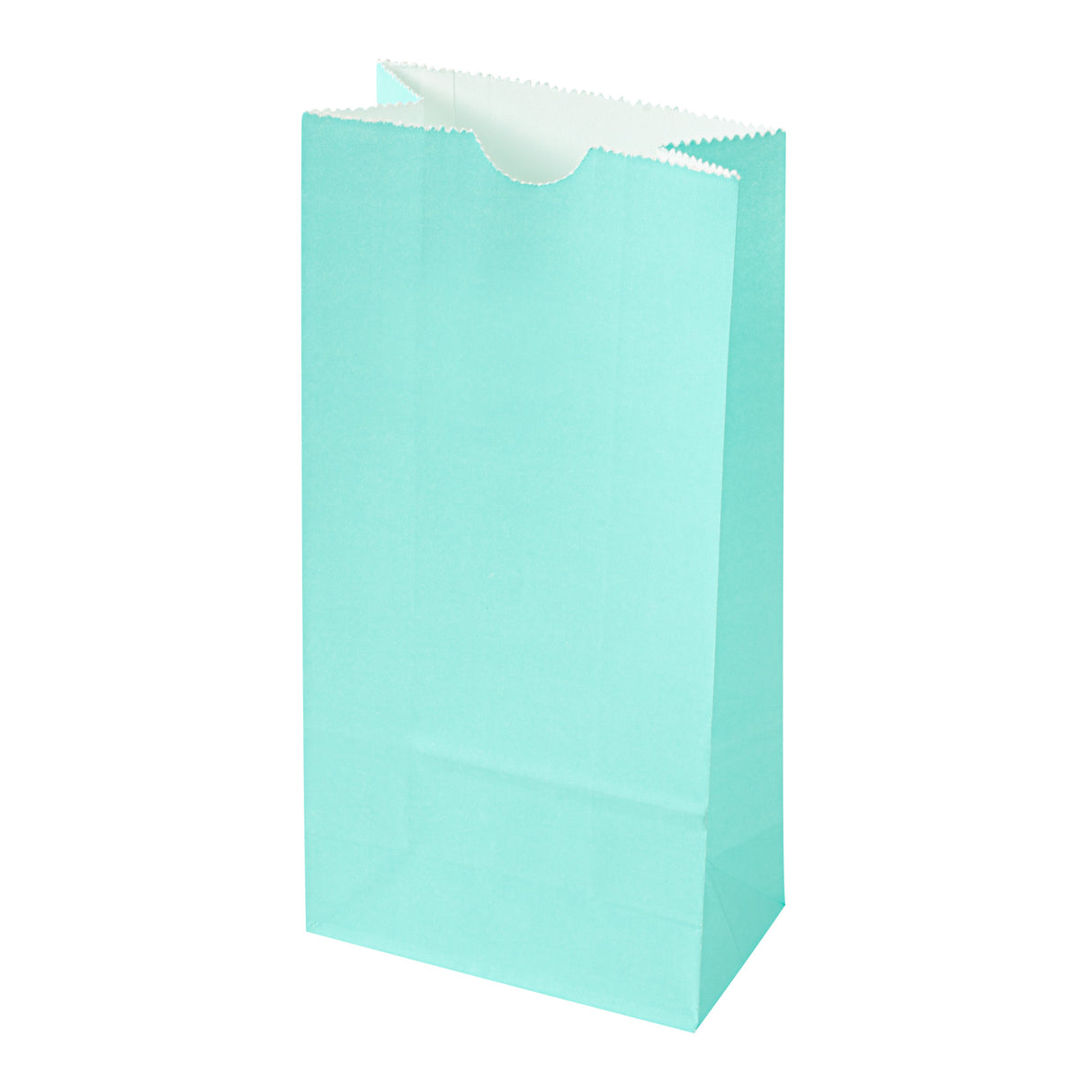 Bags, Bag Tek 2 Pound, Paper, Turquoise, 4.25 x 2.25 x 8.50 Inch 100 - 1 EACH 533268