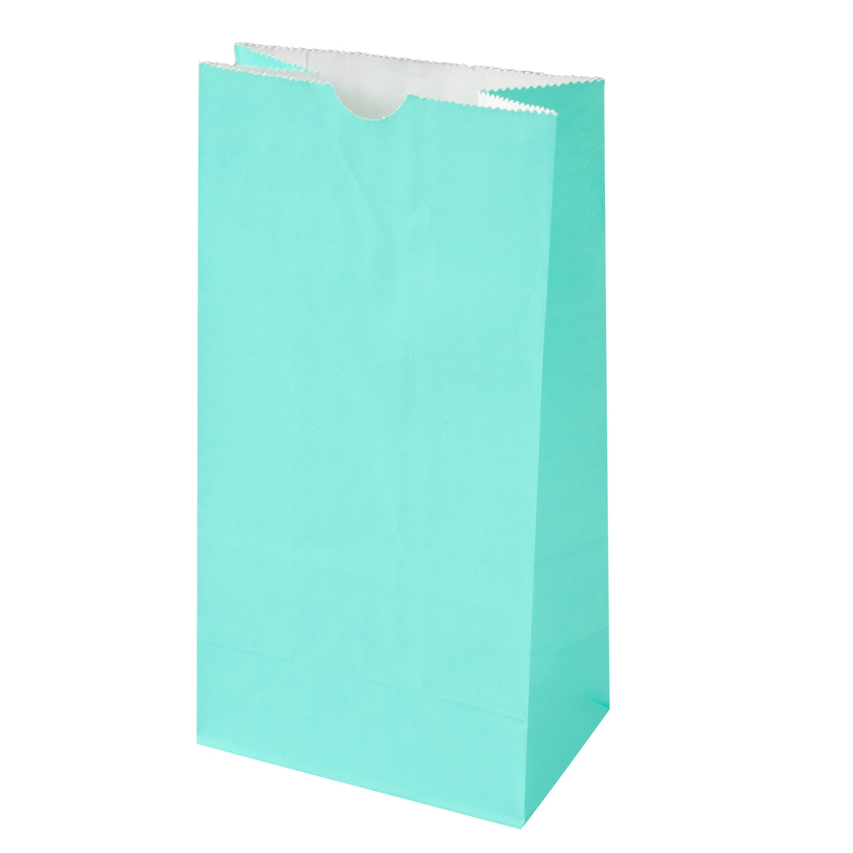 Bags, Bag Tek 4 Pound, Paper, Turquoise, 5 x 3.25 x 9.50 Inch 100 - 1 EACH 533274