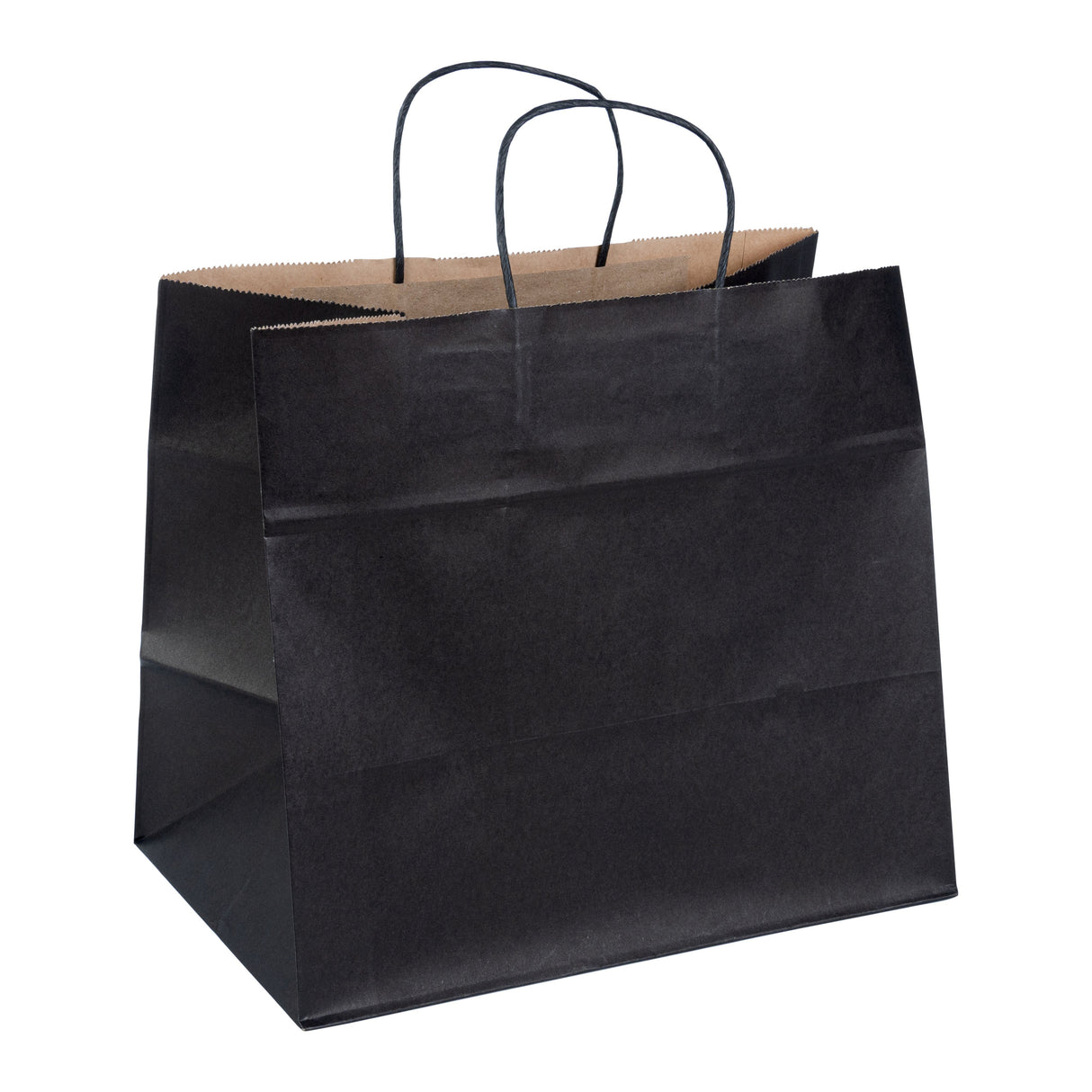 Bags, Retail, Saving Nature 12.50 x 8.25 x 11.25 In, Paper, Black, with Handles 100 - 1 EACH 531541